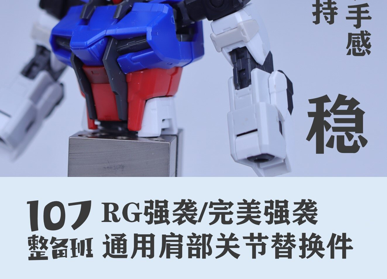107 Series RG Strike Perfect S - Model Kit Rg recensie en prijs